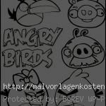 Angry Birds 6