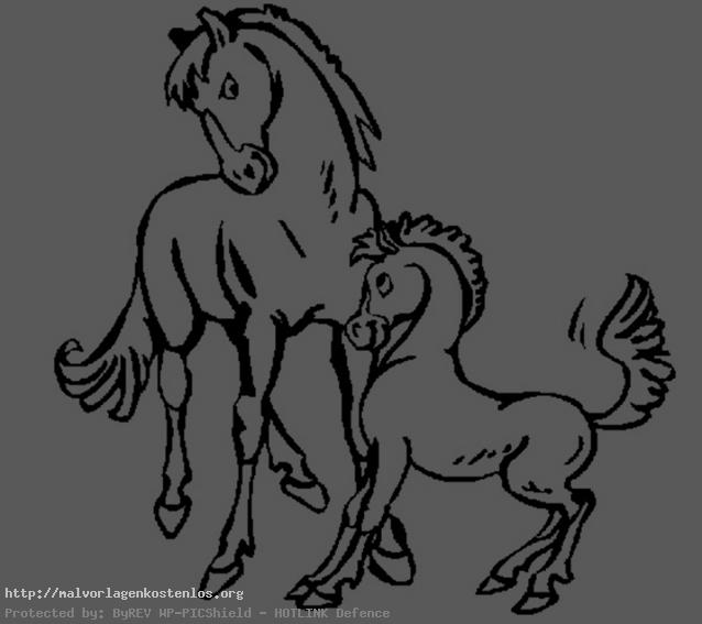 zwei pferden zum malen