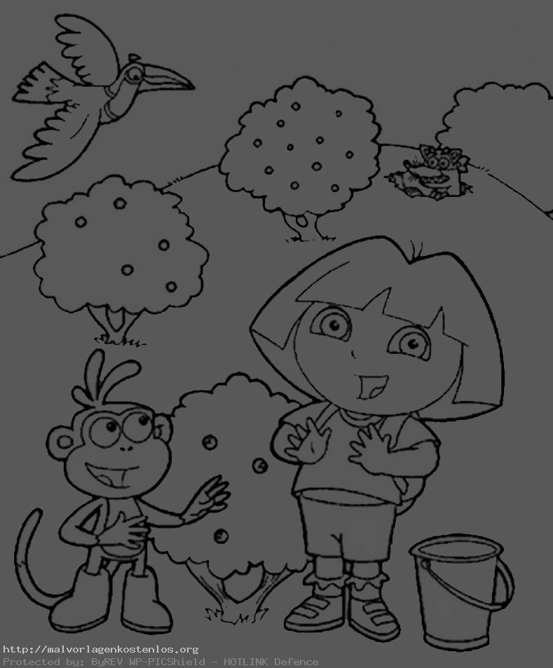 Dora und Boots sammeln Früchte